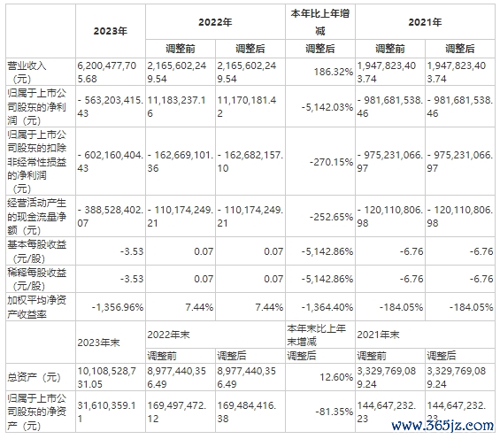 图片来源：年报截图